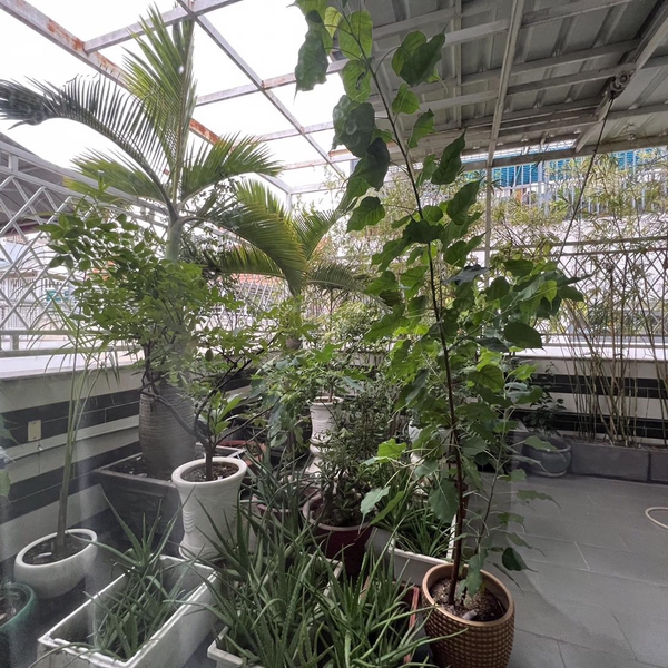 Biệt thự Him Lam Quận 7, Diện tích: 10m x 20m