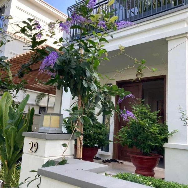 Bán biệt thự Nine South Nhà Bè