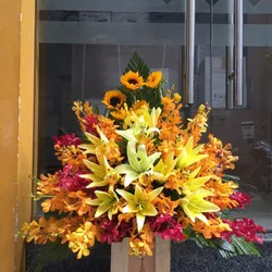 Hộp hoa tươi Lan Hồ Điệp 