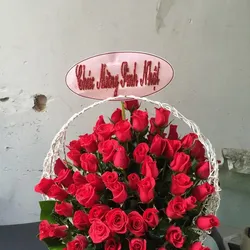 Giỏ hoa hồng đỏ 