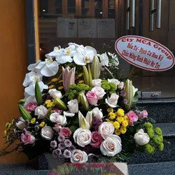 Hộp hoa phong cách Trọn Vẹn Bên Nhau