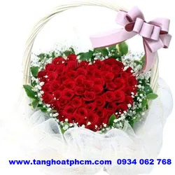 Giỏ hóa chúc mừng 