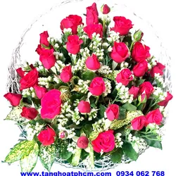 Giỏ hoa chúc mừng 