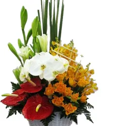 Giỏ hoa tươi 