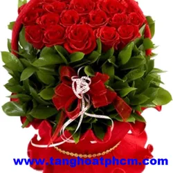 Hoa hồng - Tình yêu bất diệt