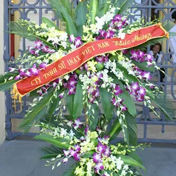 Hoa Khai Trương- Cánh Lan chân thành và may mắn!