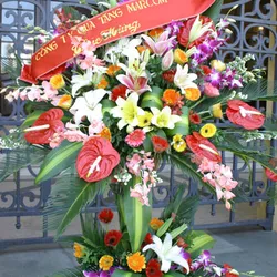 Hoa Khai Trương-Phát tài