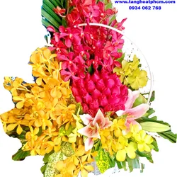 Giỏ Hoa Lan Sinh Nhật Vui Vẻ