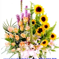 Hoa sinh nhật Hoa hướng dương