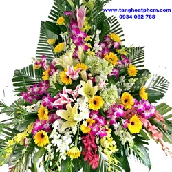 Khai trương Cát Tường