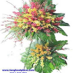 Thuận buồm xuôi gió