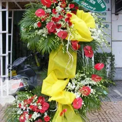 Vững vàng trên đường thành công.