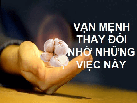 Vì sao đặt tỏi ở bàn thờ thần tài?