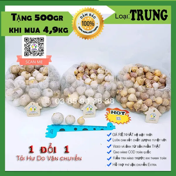 Tỏi cô đơn loại TRUNG