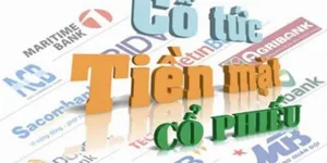 TỶ SUẤT CỔ TỨC / DIVIDEND YIELD