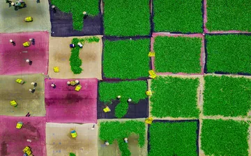 Việt Nam có 2 bức ảnh du lịch vào top đẹp nhất thế giới Việt Nam có 2 bức ảnh du lịch vào top đẹp nhất thế giới