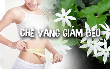 Bí quyết giảm cân với chè vằng trong dân gian