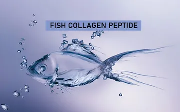 Collagen Peptide có công dụng và hiệu quả như nào?