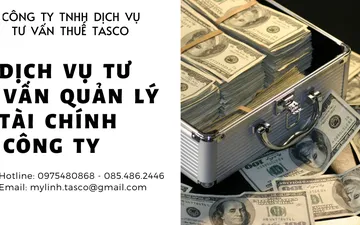 Consulting company financial management