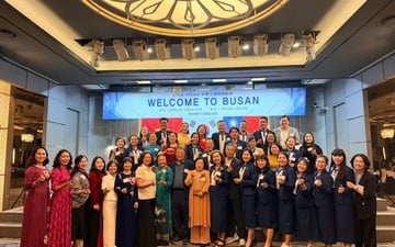TASCO đồng hành cùng đoàn VTCA và HTCAA tăng cường kết nối nghề nghiệp tại Hàn Quốc