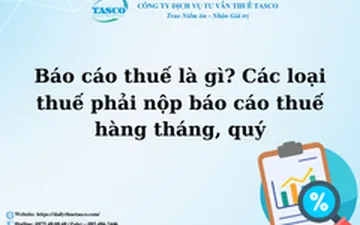 Báo cáo thuế là gì? Các loại thuế phải nộp báo cáo thuế hàng tháng, quý