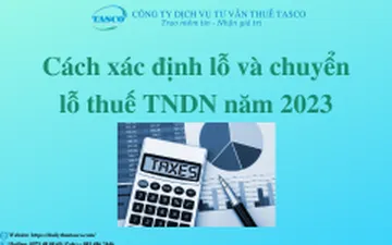 Cách xác định lỗ và chuyển lỗ thuế TNDN năm 2023