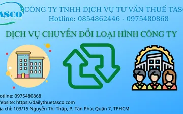 Company type conversion service