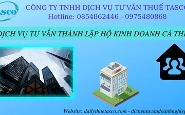 Consulting services for establishing individual business households