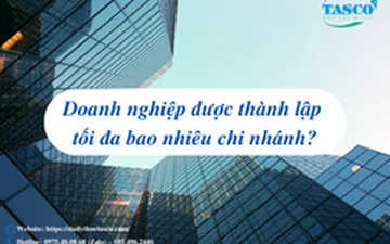 Doanh nghiệp được thành lập tối đa bao nhiêu chi nhánh?
