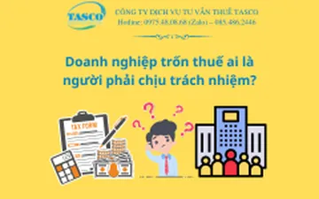 Doanh nghiệp trốn thuế ai là người phải chịu trách nhiệm?