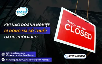 Khi nào doanh nghiệp bị đóng mã số thuế? Cách khôi phục