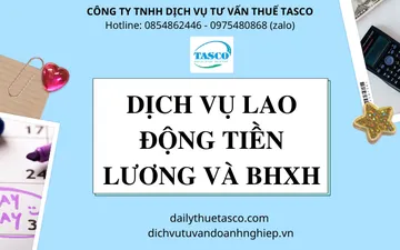 LABOR, SALARY AND SOCIAL INSURANCE SERVICES