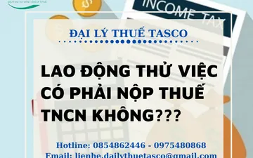 Giải đáp thắc mắc: Lao động thử việc có phải đóng thuế TNCN hay không?