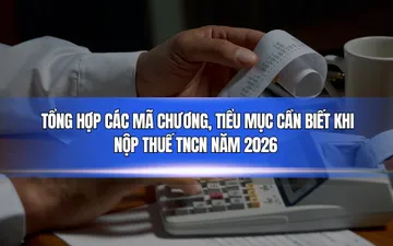 Tổng hợp các mã chương, tiểu mục cần biết khi nộp thuế TNCN năm 2026