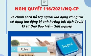 Nghị quyết số 116/2021/NQ-CP về chính sách hỗ trợ người lao động và người sử dụng lao động từ Quỹ bảo hiểm thất nghiệp.