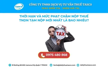 Thời Hạn Và Mức Phạt Chậm Nộp Thuế Thu Nhập Doanh Nghiệp Tạm Nộp Mới Nhất Là Bao Nhiêu?