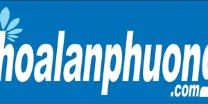 Hoa Tươi Thủ Dầu Một Hoa Tươi Thủ Dầu Một