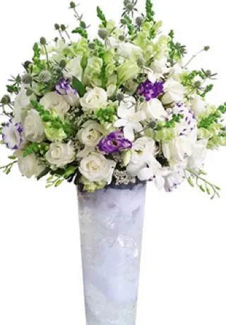 Bình Hoa Xinh Xắn
