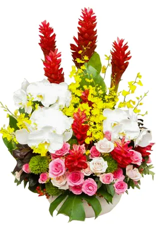 Bình Hoa Tặng Ngày Lễ Như Ý