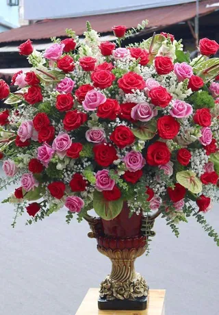 Bình Hoa Tươi Hải Phòng 24