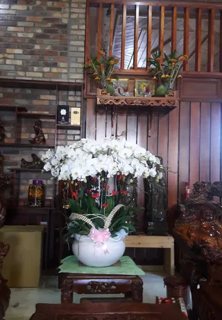 Chậu Lan Hồ Điệp Trắng Kỉ Niệm