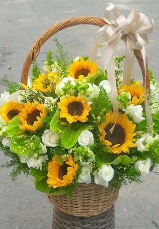 Giỏ Hoa Tặng Thầy Giáo