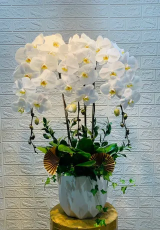 Hoa Lan Huyện Thuỷ Nguyên