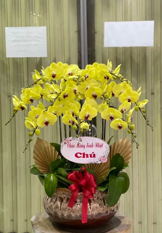 Hoa Lan Quận Hải An Hải Phòng