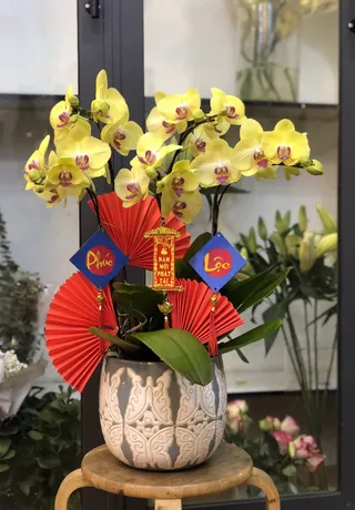 Hoa Lan Quận Kiến An Hải Phòng