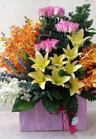 Hộp Hoa Tặng Chị Gái