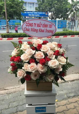 Hộp Hoa Tươi Bình Dương 08