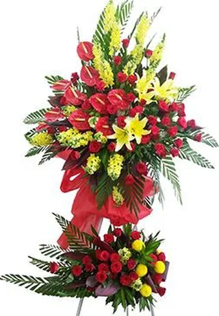Chúc Mừng Khai Trương