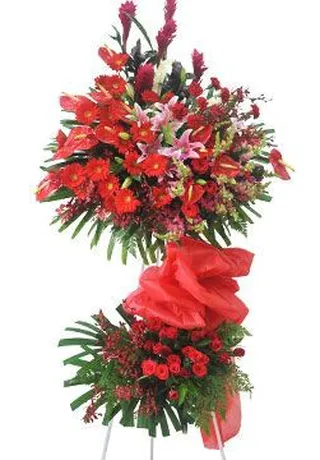 Khai Trương Hồng Phát
