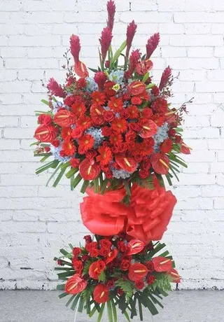Tăng Trưởng Vượt Bậc